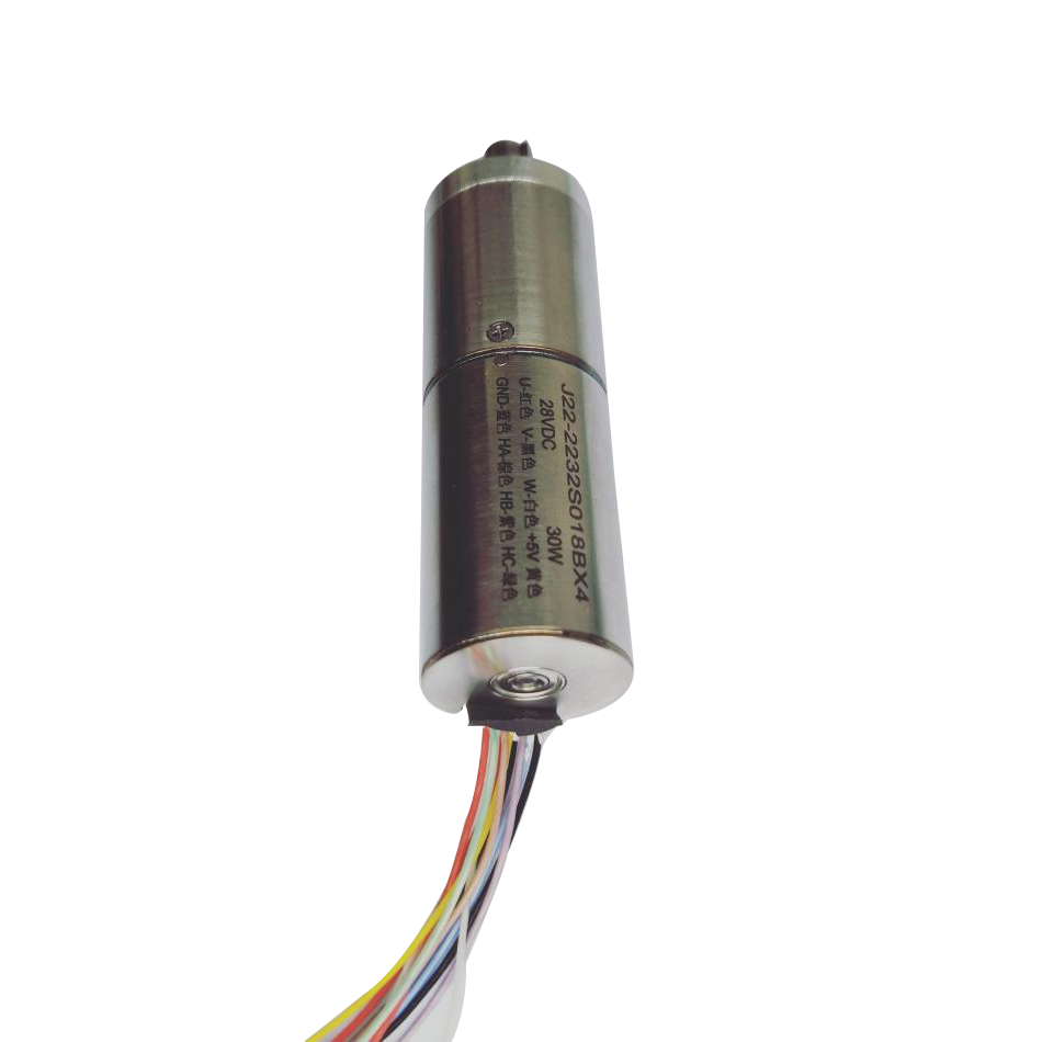 Hollow Cup Reduction Motor